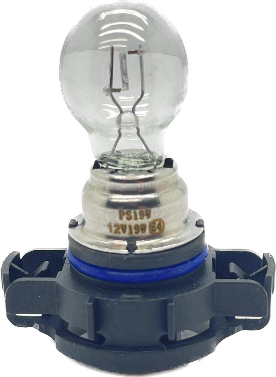 12V 19W white Bulb Lamp DRL Fog PS19W PG20/1 – Car Mod Shop